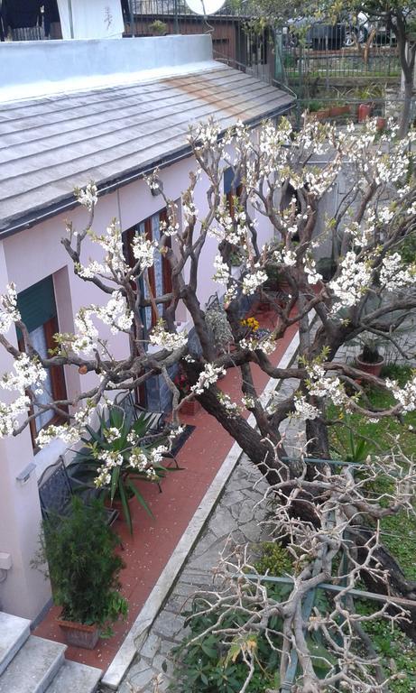 Casa Tra Il Verde E Il Blu 제노바 외부 사진